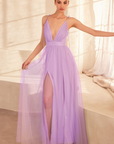 Genevieve Tulle Dress